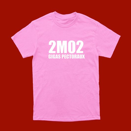 T-SHIRT 2M02